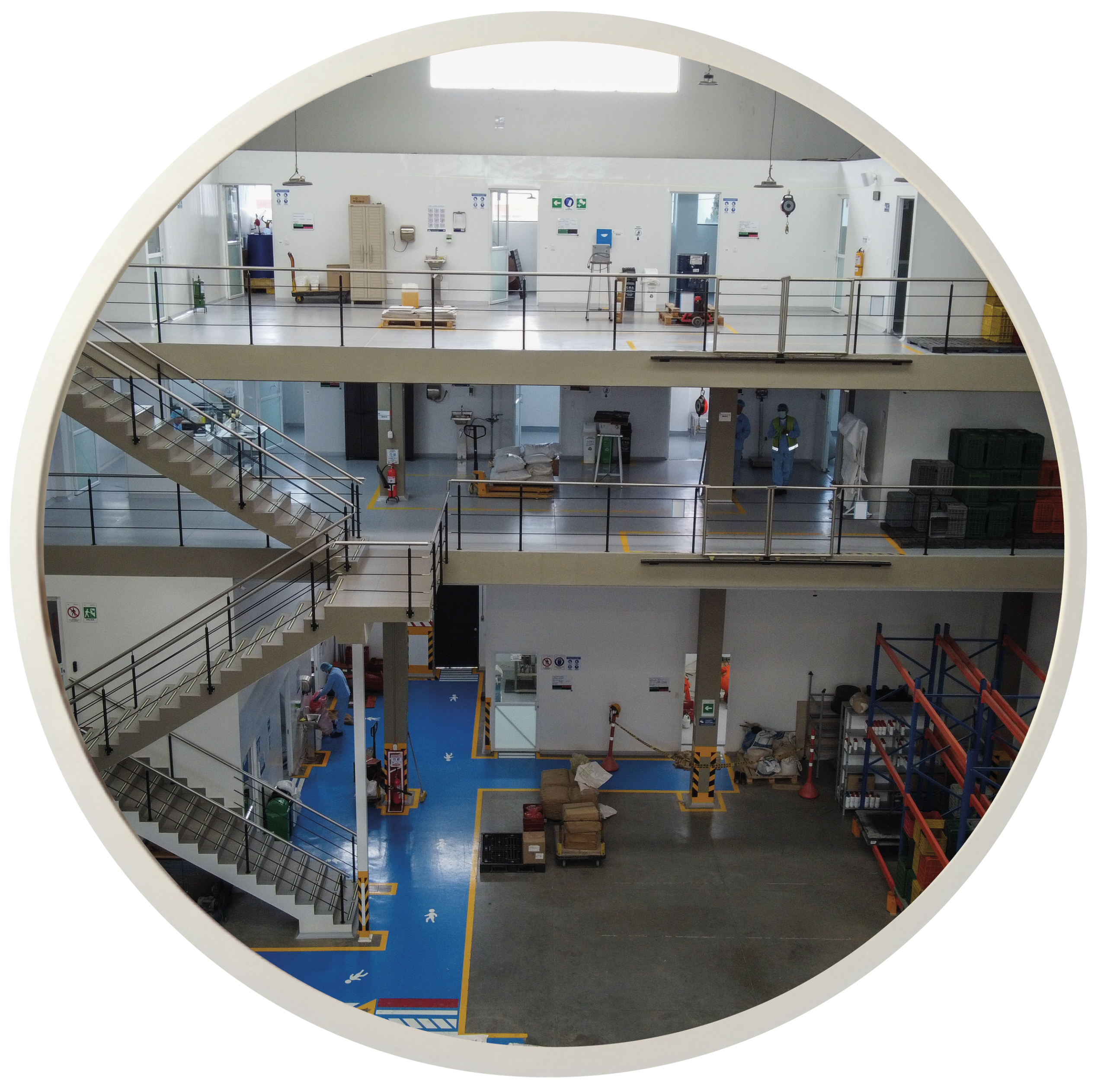 NOSOTROS-2_Mesa de trabajo 1 copia 5