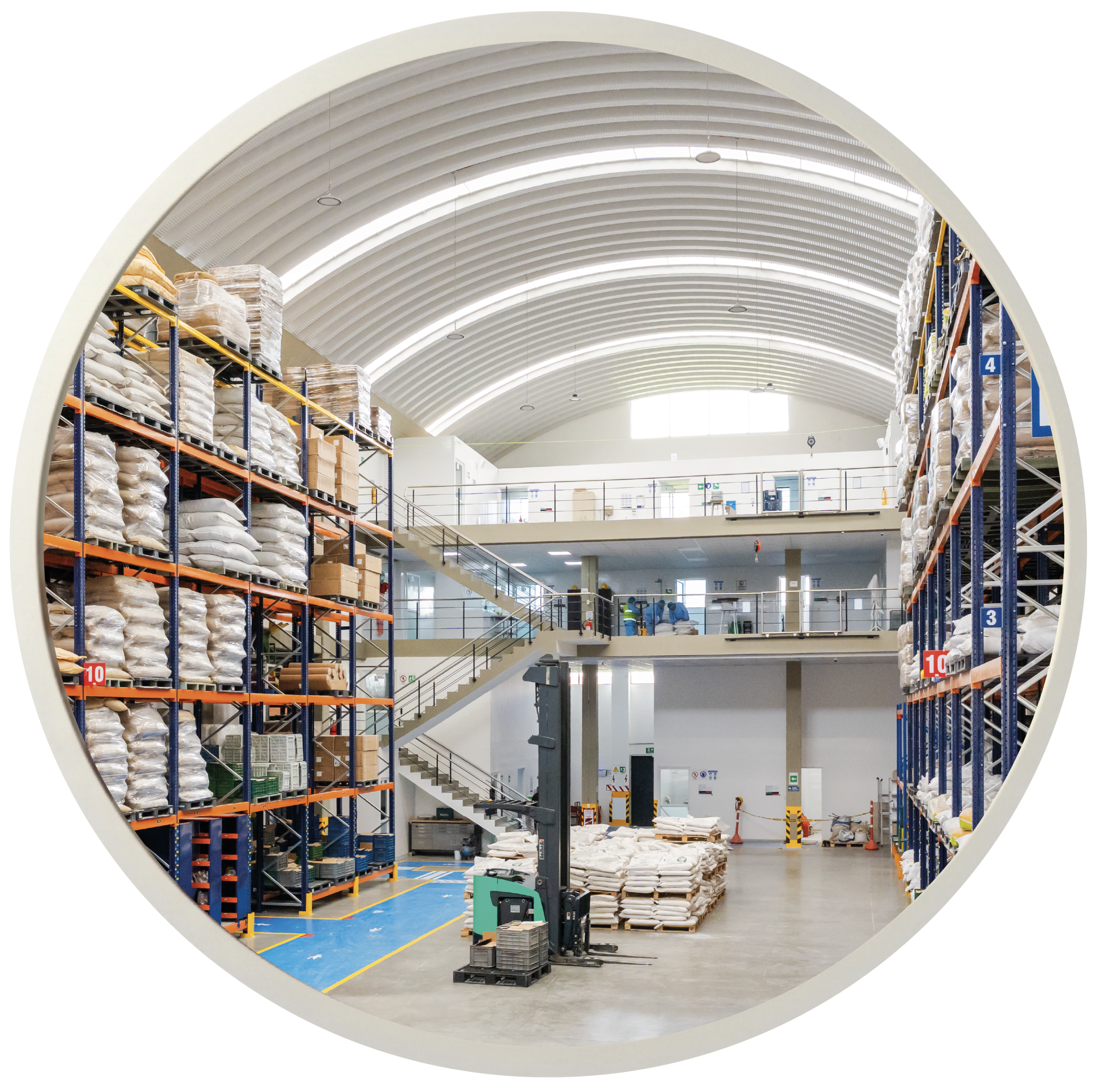 NOSOTROS-2_Mesa de trabajo 1 copia 6